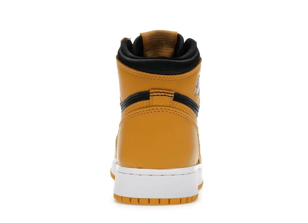 Air Jordan 1 Retro High OG Pollen (GS)