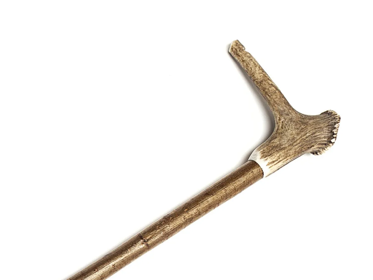 Shoulder Height Hazel Stick with Crown Whistle